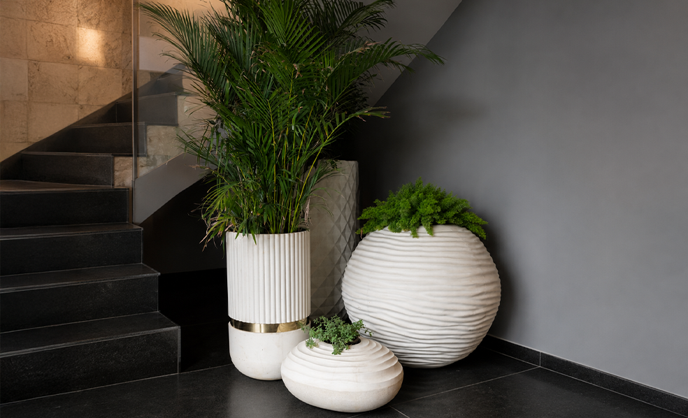 Pots & Planters